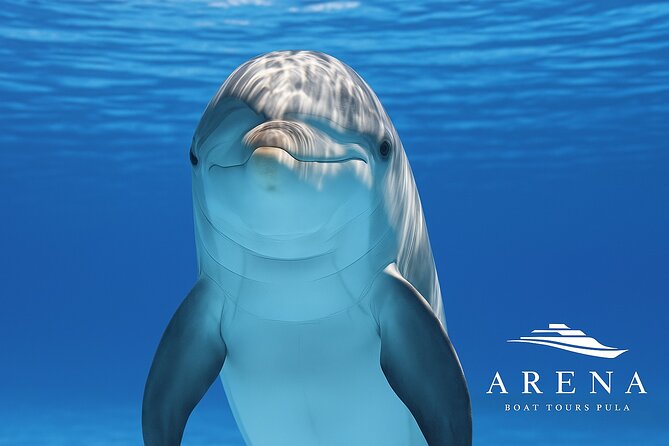 Fantastic DOLPHIN & SUNSET TOUR with dinner ( Pula-NP BRIJUNI ) - Dinner with a view of 14 islands