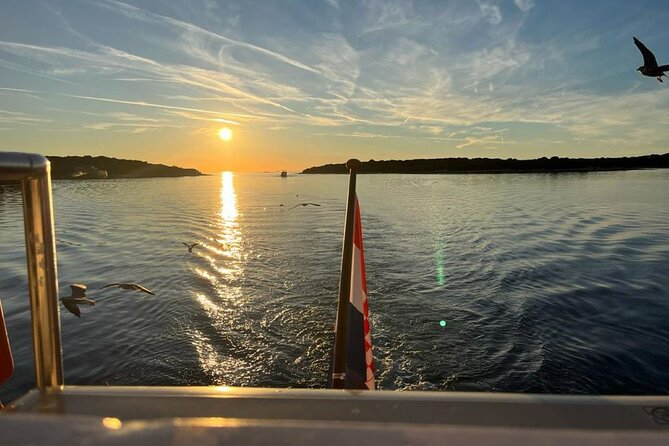 Fantastic DOLPHIN & SUNSET TOUR with dinner ( Pula-NP BRIJUNI ) - The dolphin search near sunset
