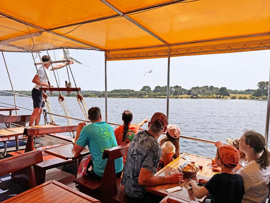 Fazana: Dolphin Finder in Brijuni islands Safari with Dinner - How the dolphin search works