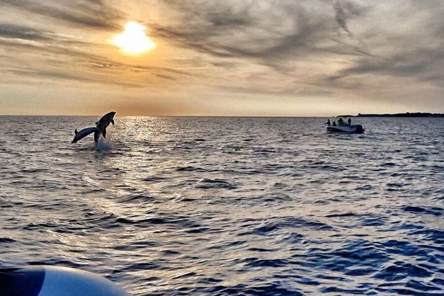 Fazana: Guided Dolphin Watching Sightseeing Cruise at Sunset - Why Brijuni National Park makes the route worthwhile