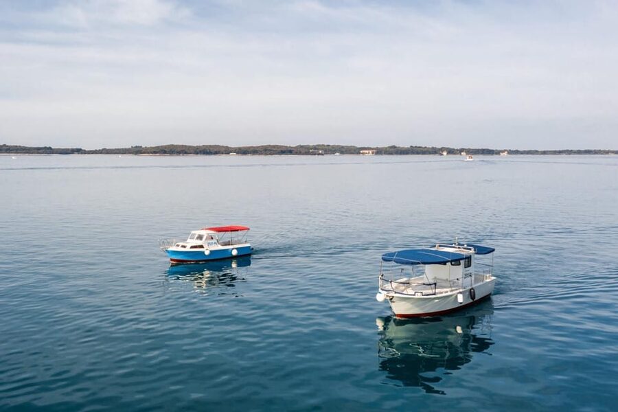 Fažana: Sail like a president with Brijuni Panorama - Seeing Brijuni from the water in about 90 minutes