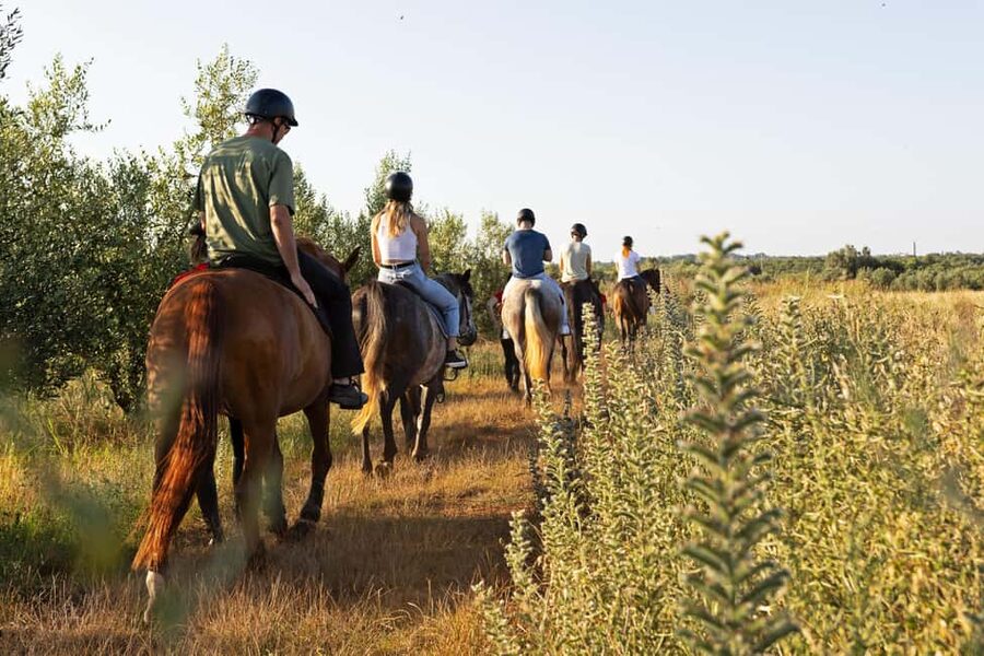 Fazana: Sunset 1-hour Horse Riding in Nature with Guide - A small-group outing with a personal feel