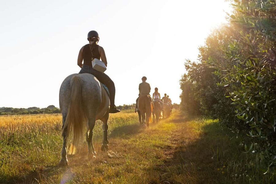 Fazana: Sunset 1-hour Horse Riding in Nature with Guide - The flower meadow is the scenic centerpiece