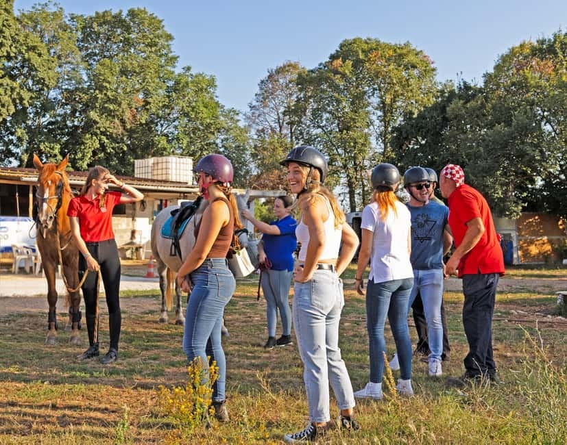 Fazana: Sunset 1-hour Horse Riding in Nature with Guide - Olive groves add an Istrian touch