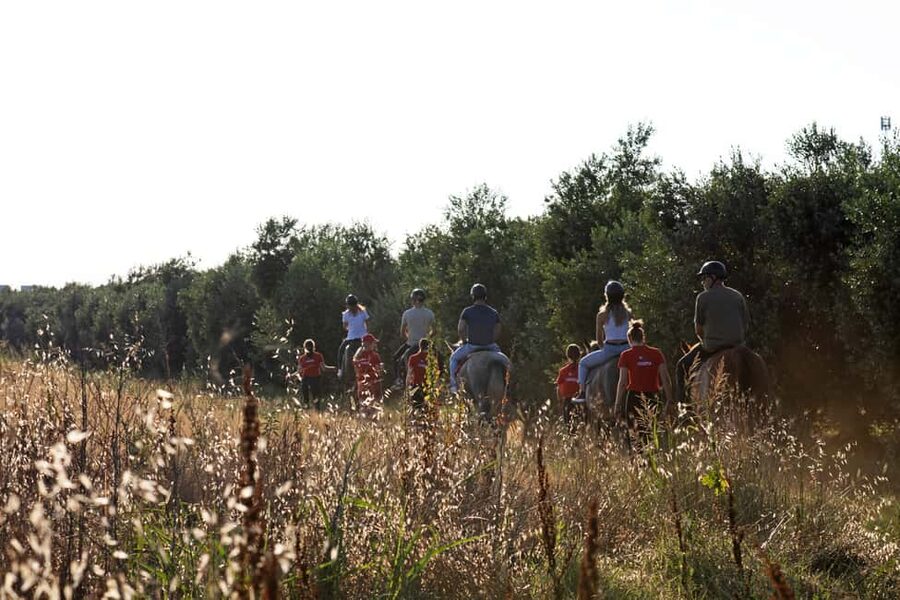 Fazana: Sunset 1-hour Horse Riding in Nature with Guide - How the guides handle beginners