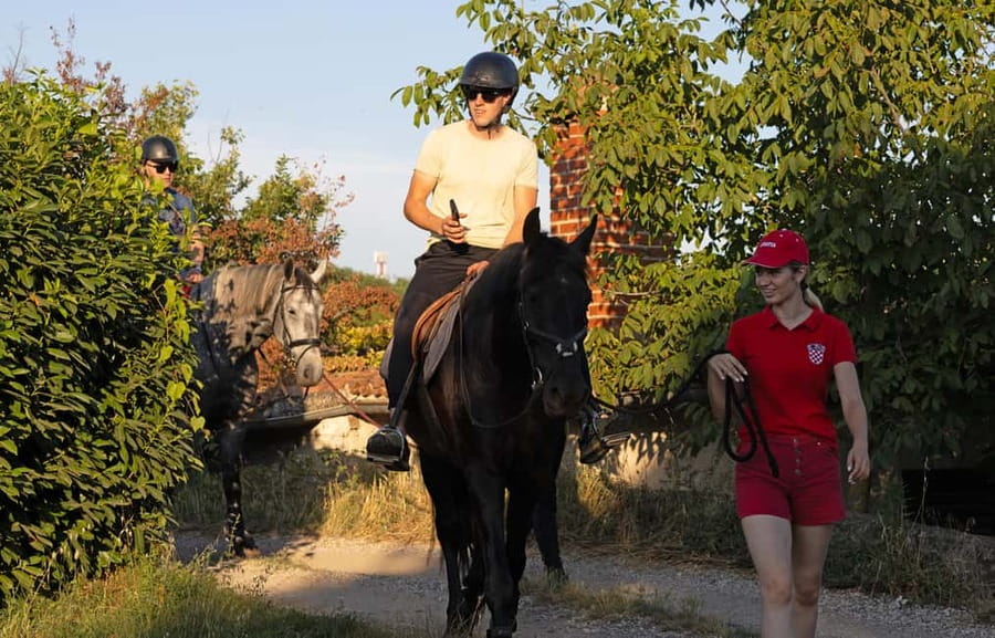 Fazana: Sunset 1-hour Horse Riding in Nature with Guide - What $58 represents for the value