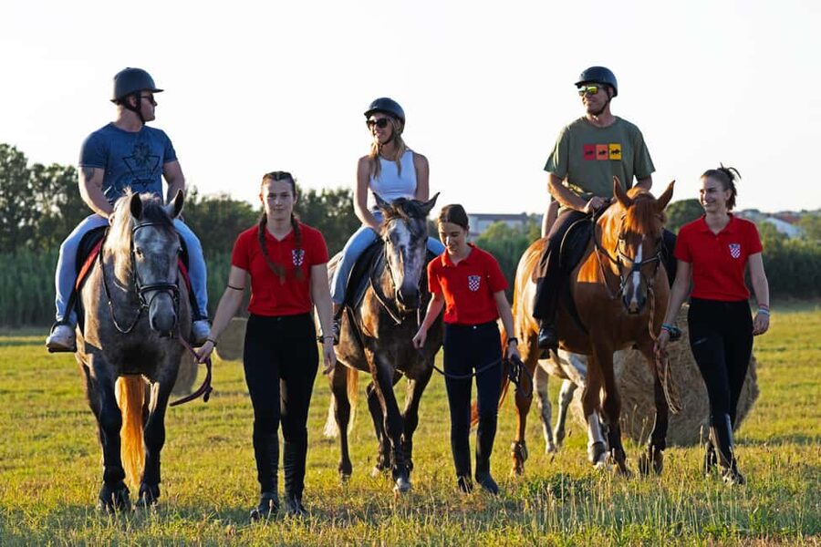 Fazana: Sunset 1-hour Horse Riding in Nature with Guide - Who will enjoy this ride most