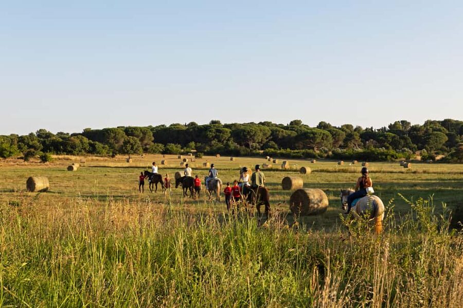 Fazana: Sunset 1-hour Horse Riding in Nature with Guide - Pine woods first, with a slower pace