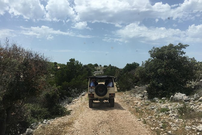 Feel and Taste island Brac with local experts - island adventure to remember - Local lunch, wine, and olive oil