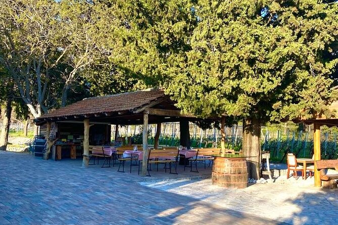 Flavours of Konavle: Wine, Food & Village Life Experience - Timing, dress, and physical demands
