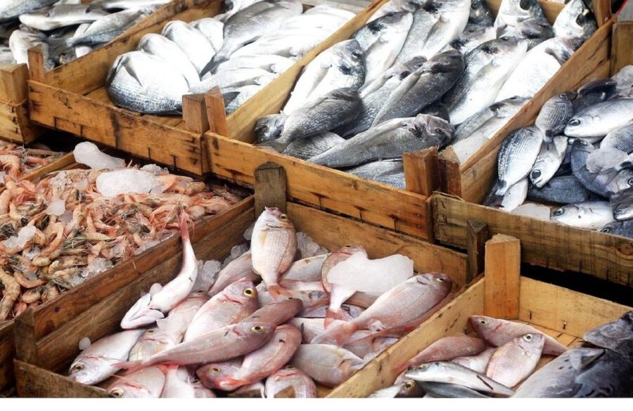 Food Tour in Split ( Small Group) - The Split Fish Market and Mediterranean food habits