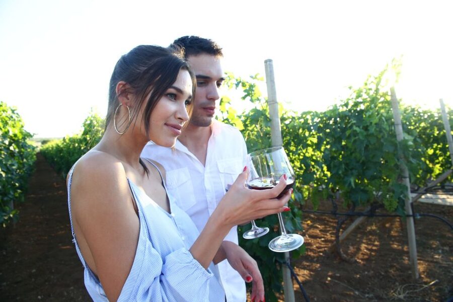 From Biograd: Wine and Olive Oil Tasting in Ražnjevića Dvori - Key points to know before booking