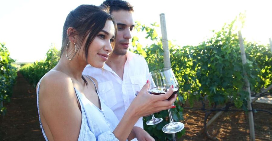 From Biograd: Wine and Olive Oil Tasting in Ražnjevića Dvori - The 10-minute ride from Biograd na Moru