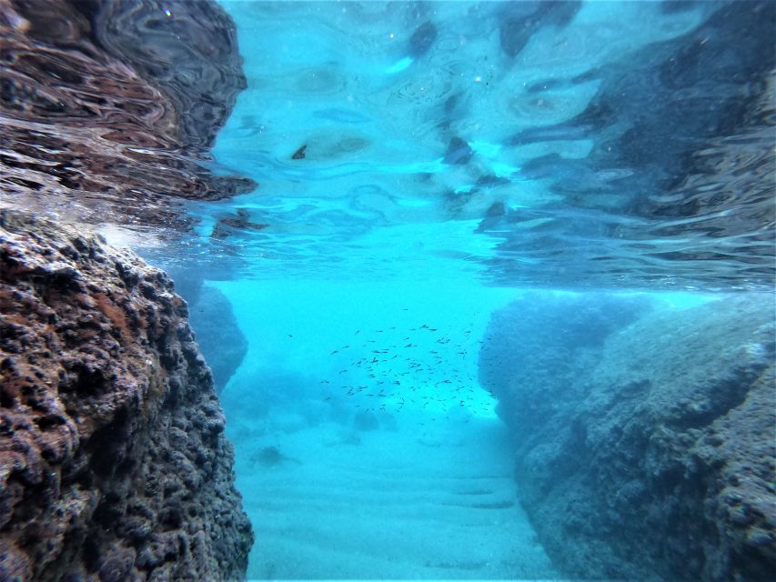From Dubrovnik: 4-hour Elafiti Islands Private Boat Tour - Lopud, Šunj Beach, and time ashore