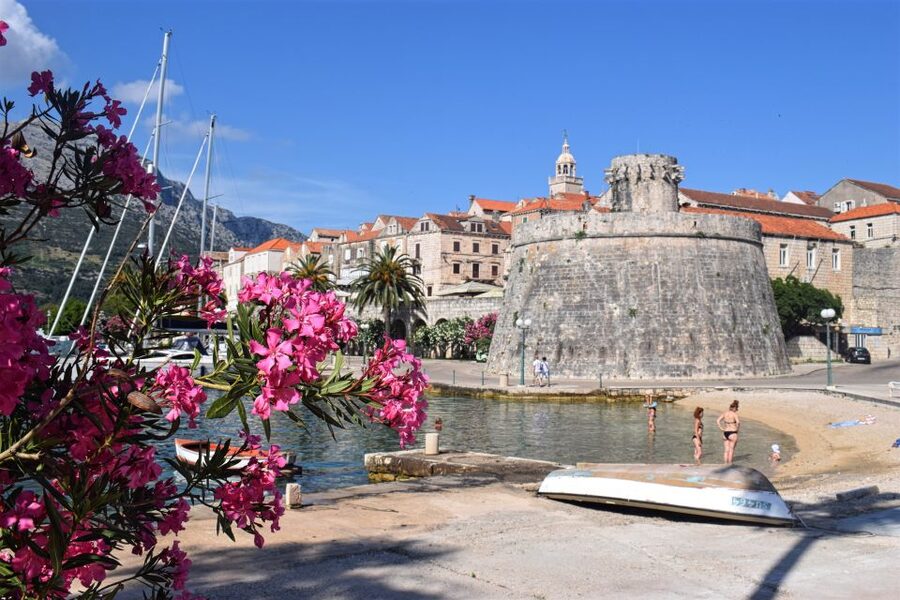 From Dubrovnik: Guided Tour of Pelješac & Korčula - Pelješac wine tasting on the return route