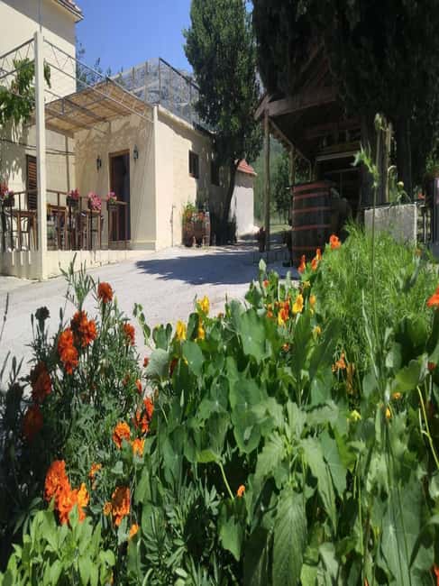 From Dubrovnik: Half-Day Wine Tasting and Cavtat City Tour - Key points to know before booking