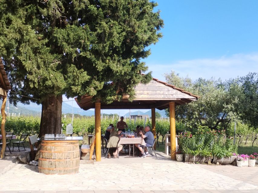 From Dubrovnik: Half-Day Wine Tasting and Cavtat City Tour - Cavtat gives the afternoon a coastal finish