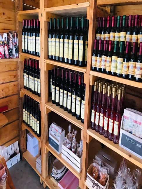 From Dubrovnik: Half-Day Wine Tasting and Cavtat City Tour - The ride from Dubrovnik to Konavle Valley