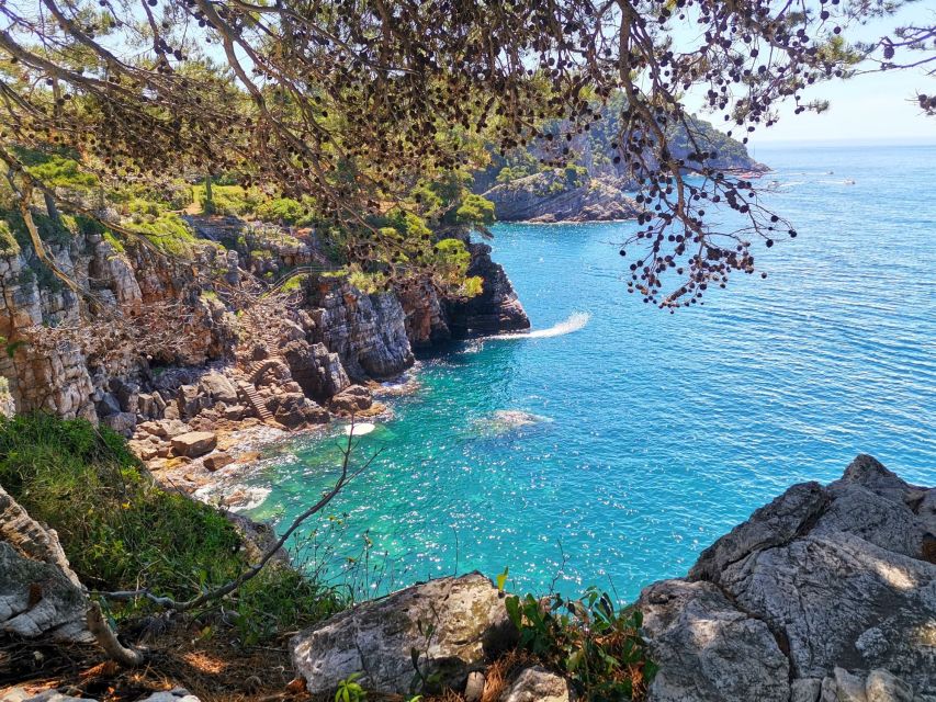 From Dubrovnik: Hiking & Swimming on Koločep Island Day Trip - Lunch choices: picnic or a small island restaurant