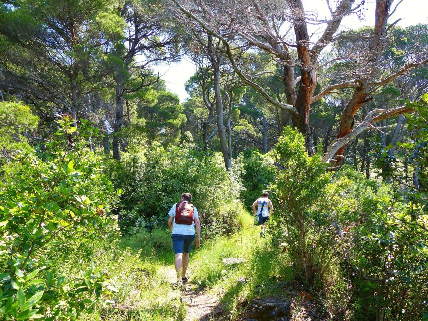From Dubrovnik: Hiking & Swimming on Koločep Island Day Trip - Is $104 a fair price?