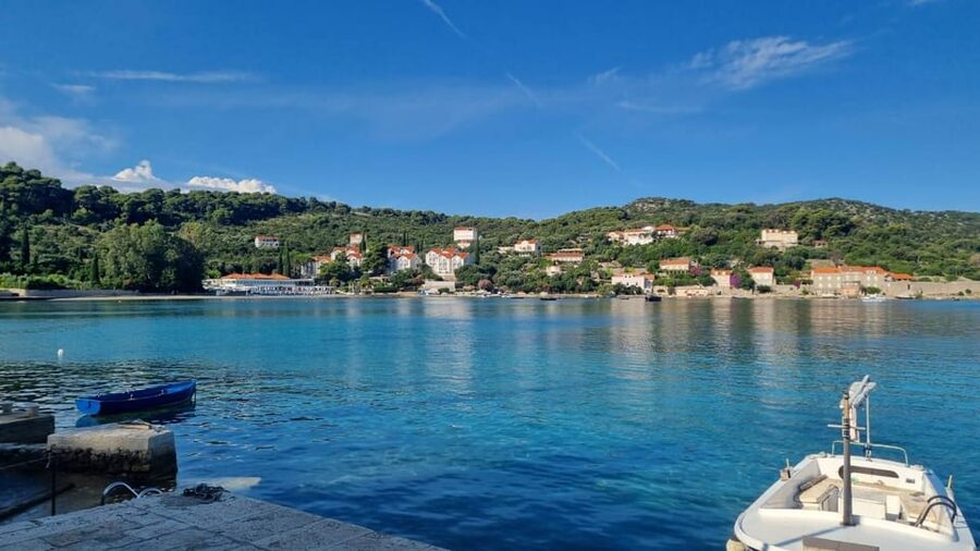 From Dubrovnik: Hop-On-Hop-Off Elaphiti Islands Boat Tour - Who will enjoy this trip most?