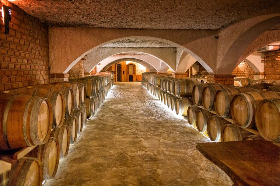 From Dubrovnik: Island of Korčula with wine tasting - Guides, driving, and the pace of the day