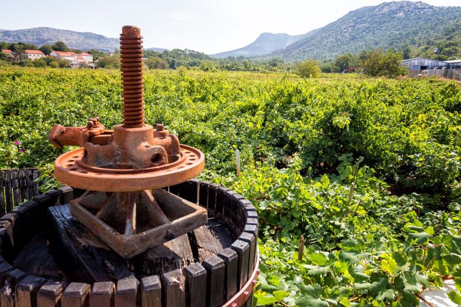 From Dubrovnik: Island of Korčula with wine tasting - Ston: walls, salt, and a short first stop
