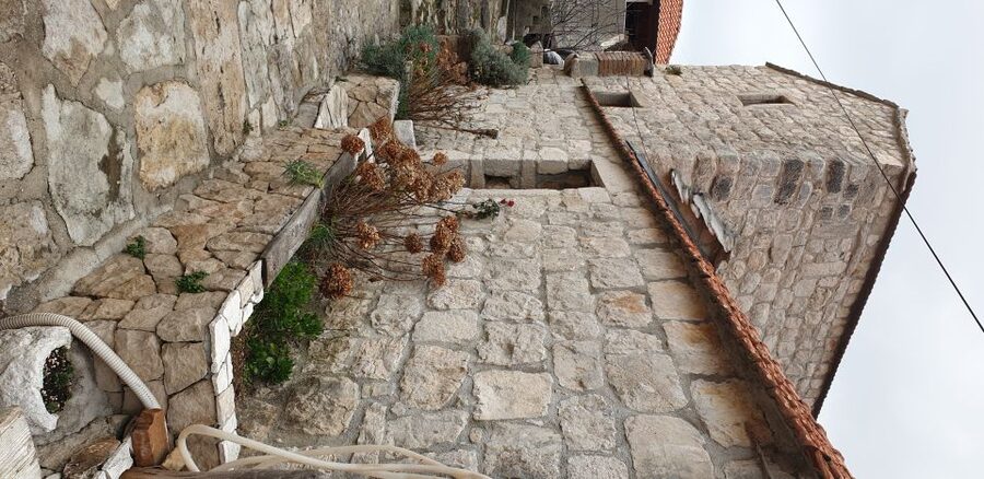 From Dubrovnik: Majkovi Village and Ston Private Food Tour - What the $524 private price really buys