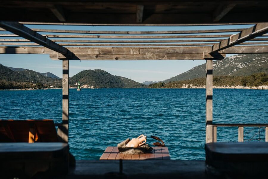 From Dubrovnik: Mali Ston Oyster Paradise Tour with Transfer - Why the oysters are the star of the trip