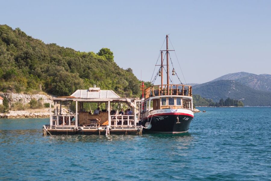 From Dubrovnik: Mali Ston Oyster Paradise Tour with Transfer - The transfer from Dubrovnik
