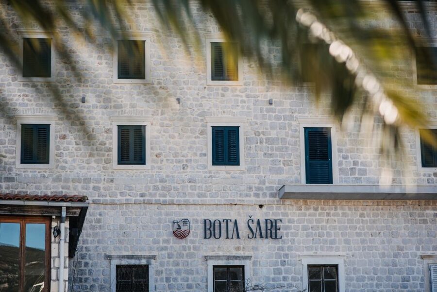 From Dubrovnik: Mali Ston Oyster Paradise Tour with Transfer - Food expectations and the value question