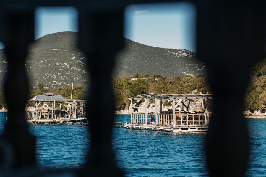 From Dubrovnik: Mali Ston Oyster Paradise Tour with Transfer - Who will enjoy this private tour