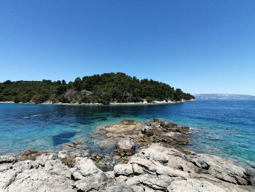 From Dubrovnik: Mljet National Park & Elaphiti Islands Trip - Price, extra costs, and overall value