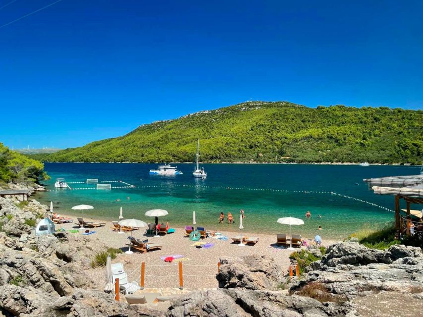 From Dubrovnik: Mljet National Park & Elaphiti Islands Trip - Odysseus Cave and the first swim