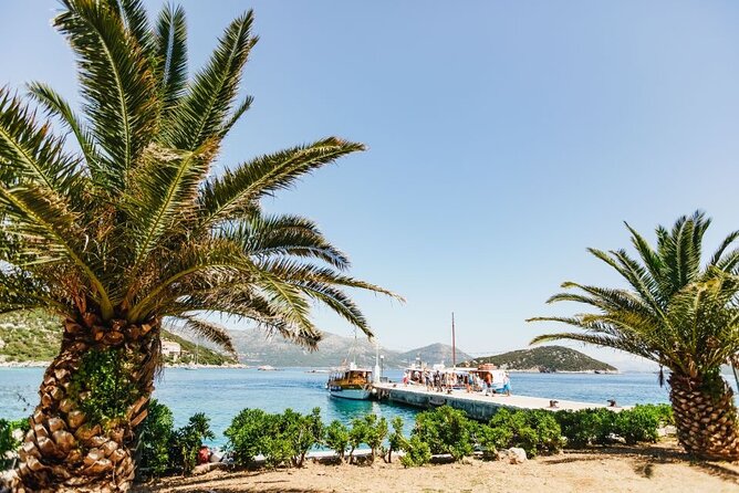 From Dubrovnik: Premium Three Island Cruise with lunch and drinks - Šipan offers olive groves, vineyards, and a quieter hour