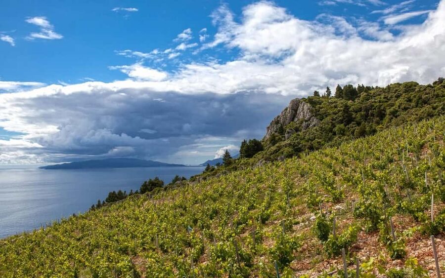 From Dubrovnik Private tour to Korčula Island - Through the Dingac tunnel to the best views