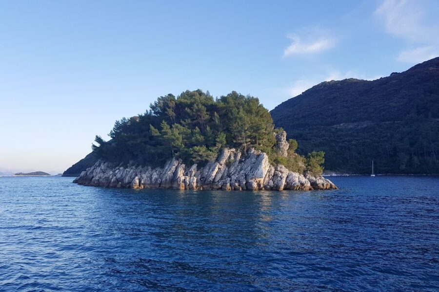 From Dubrovnik: Pvt Speedboat Cruise to Mljet&Sipanska Luka - Snorkeling from the boat