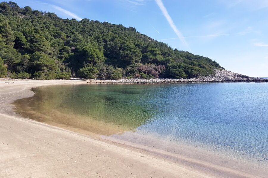 From Dubrovnik: Pvt Speedboat Cruise to Mljet&Sipanska Luka - The Blue Cave on Kolocep Island
