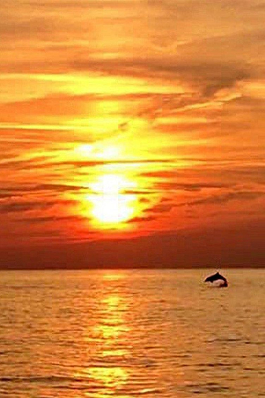 From Fazana: Dolphin watching sightseeing cruise at sunset - Leaving Fazana for the Brijuni islands