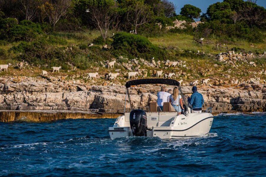 From Fažana: Private boat tour of Brijuni Islands - Choosing Veliki Brijun for animals, bicycles, and history
