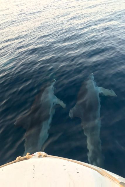 From Fazana: Private sunset dolphin tour - Leaving Fazana as the evening light softens