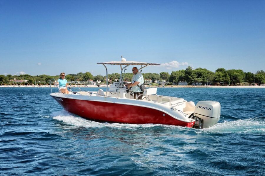 From Fazana: Private sunset dolphin tour - Practical details that can affect your evening