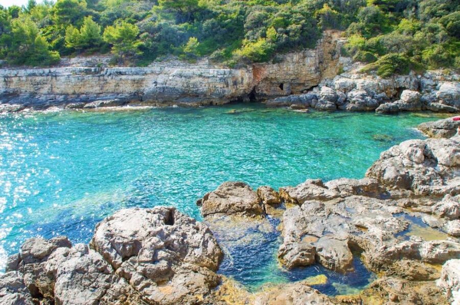 From Fažana: snorkeling at sea cave and Brijuni Island - What the $365 private price really buys