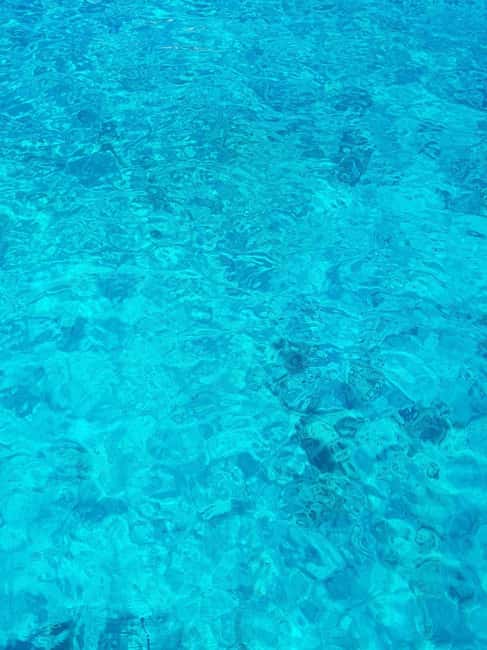 From Hvar: Blue cave group speedboat tour full day - What the price covers, and what it does not