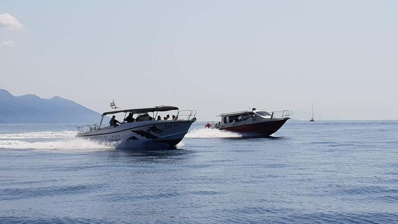 From Hvar: Unforgetable Tour to the Island Vis and Blue Cave - A fast boat ride from Hvar to Biševo