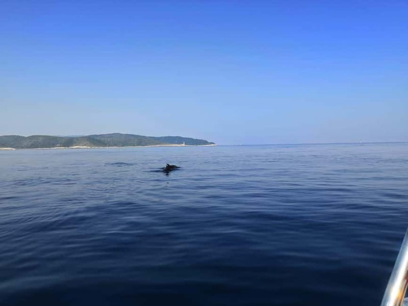 From Hvar: Unforgetable Tour to the Island Vis and Blue Cave - Budikovac Blue Lagoon is the main swimming break