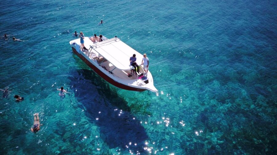 From Hvar: Vis Island and Blue Cave Speedboat Tour - Why this Hvar boat trip works so well