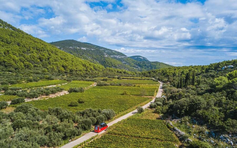 From Korcula Town: Local Wine & Sightseeing Half-Day Tour - Why this is a smart way to see Korcula