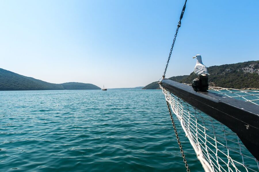 From Poreč: Boat Day Trip to Rovinj with Fish Lunch - What the $43 price really includes
