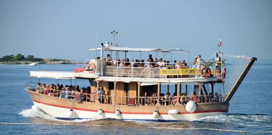 From Poreč: Evening Dolphin Cruise with Welcome Drink - Who will enjoy this cruise most